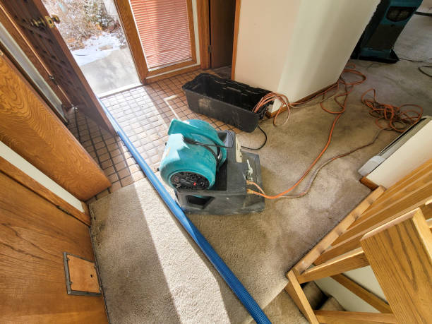 Best Mold removal after water damage  in Valdese, NC