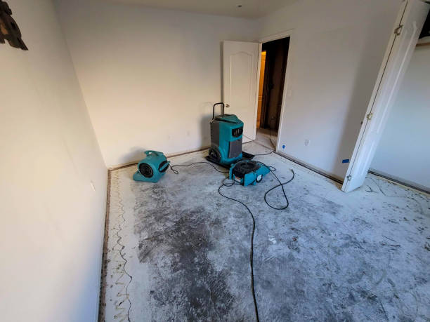 Best Local water damage restoration  in Valdese, NC
