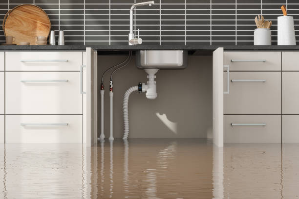 Best Flood restoration services  in Valdese, NC