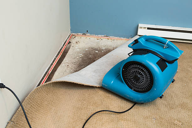 Best Commercial water damage restoration  in Valdese, NC